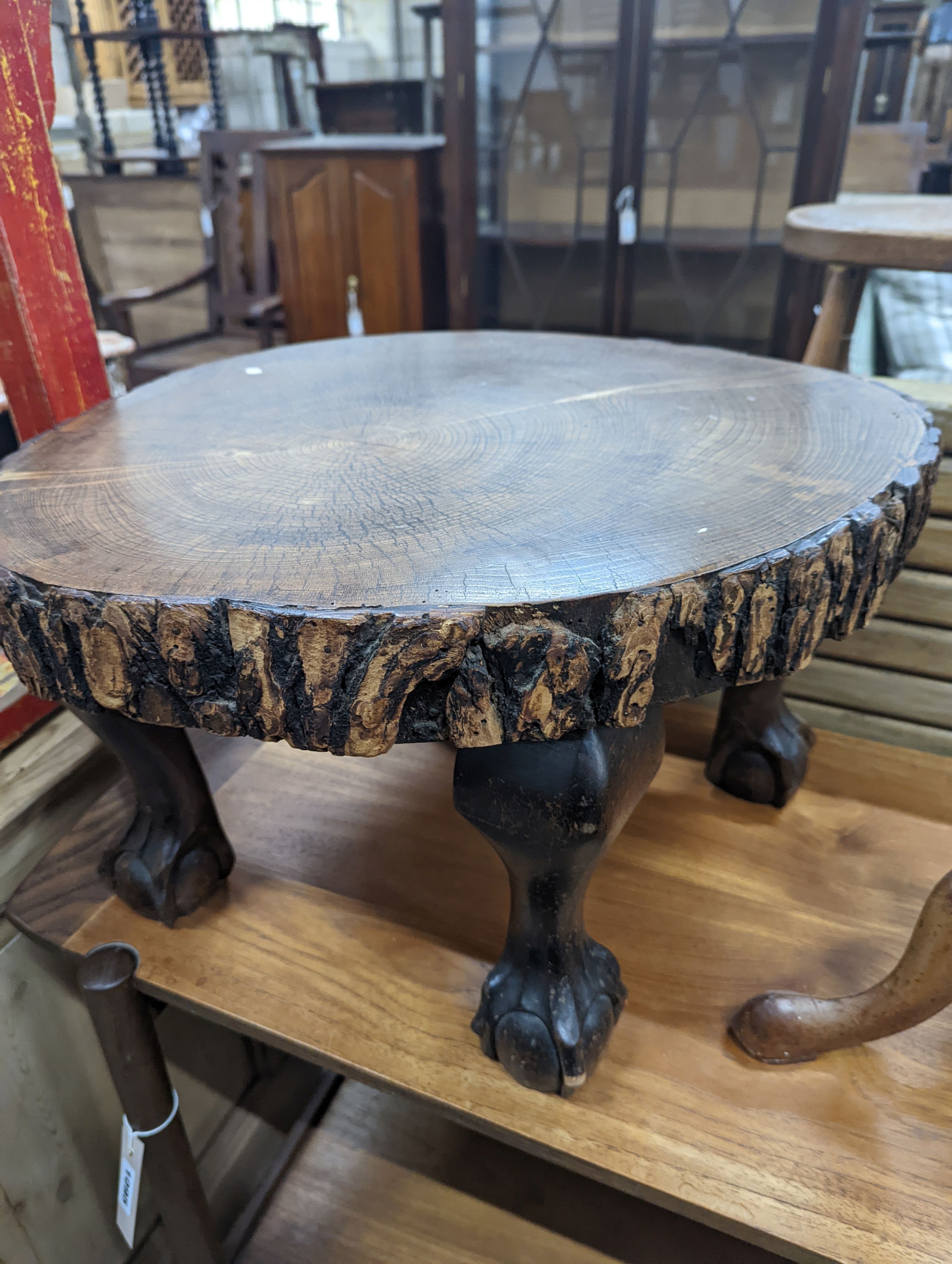 A rustic tree section low table, length 52cm, height 32cm together with a Victorian satin walnut candlestand